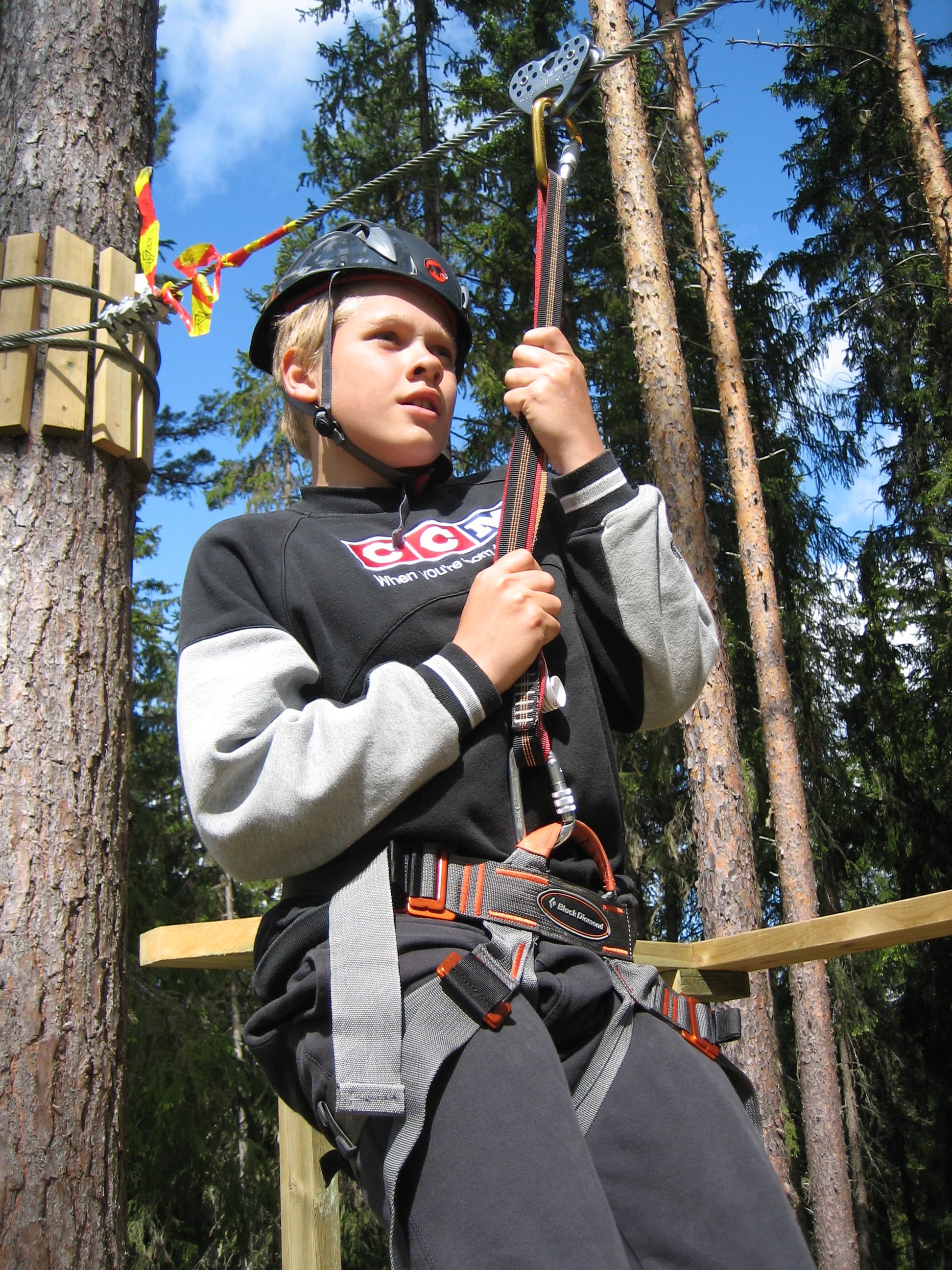 Zipline genom tallskogen